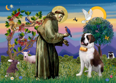 My Connection to Animals and St. Francis | Practical Spirituality